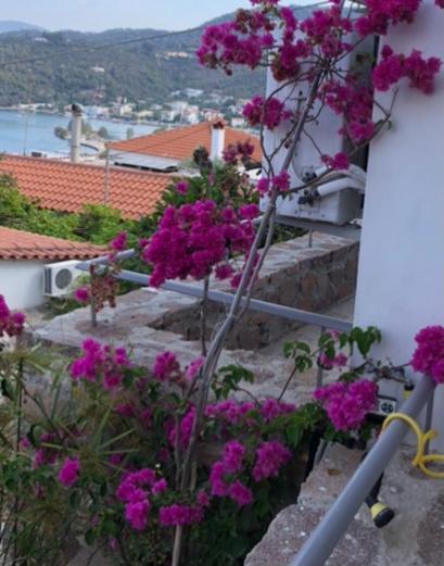 Veranda Blue - Poros Apartment Poros Town Exterior photo